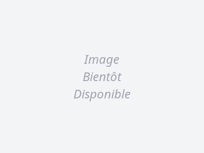 Tisane Bio Sommeil